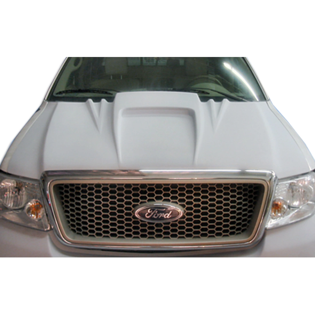 All kind of Exterior/Hoodsfor  Ford F-150 2004. 1