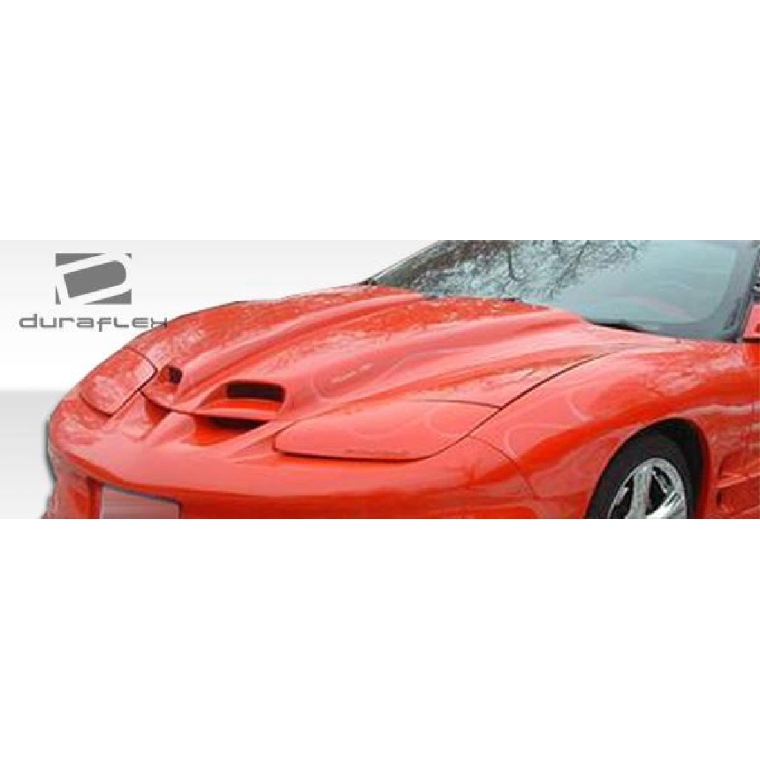 All kind of Exterior/Hoodsfor  Pontiac Firebird 1998. 9
