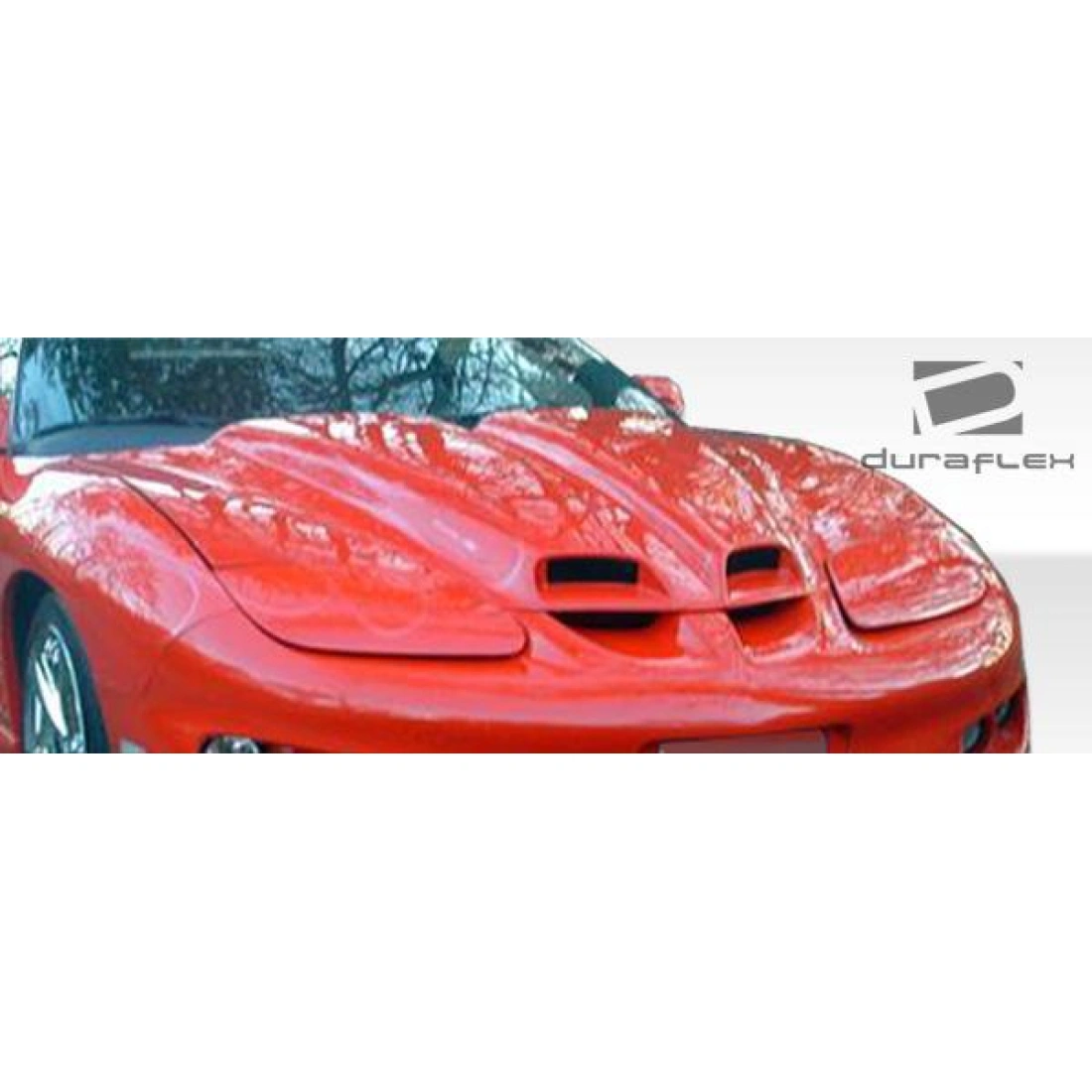 All kind of Exterior/Hoodsfor  Pontiac Firebird 1998. 11