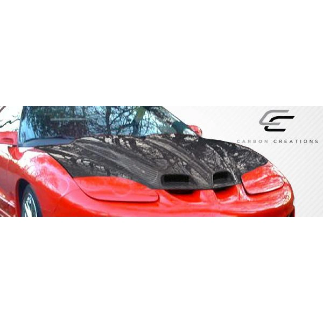 All kind of Exterior/Hoodsfor Pontiac Firebird 1998. 6