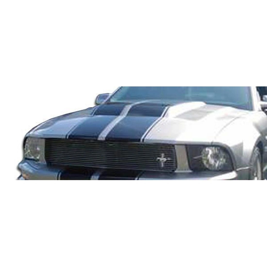 All kind of Exterior/Hoodsfor  Ford Mustang 2005. 3
