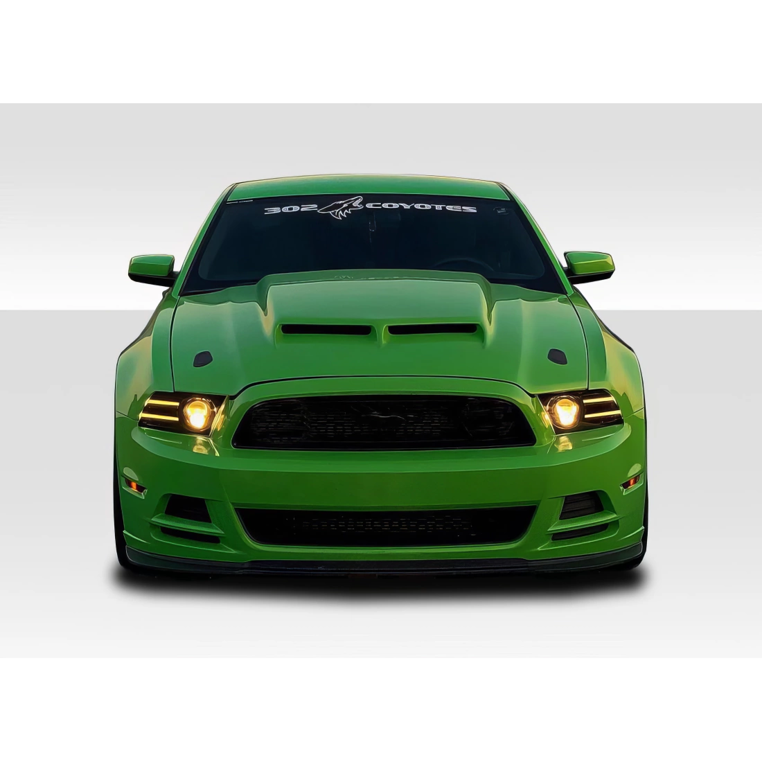 All kind of Exterior/Hoodsfor Ford Mustang 2013. 1