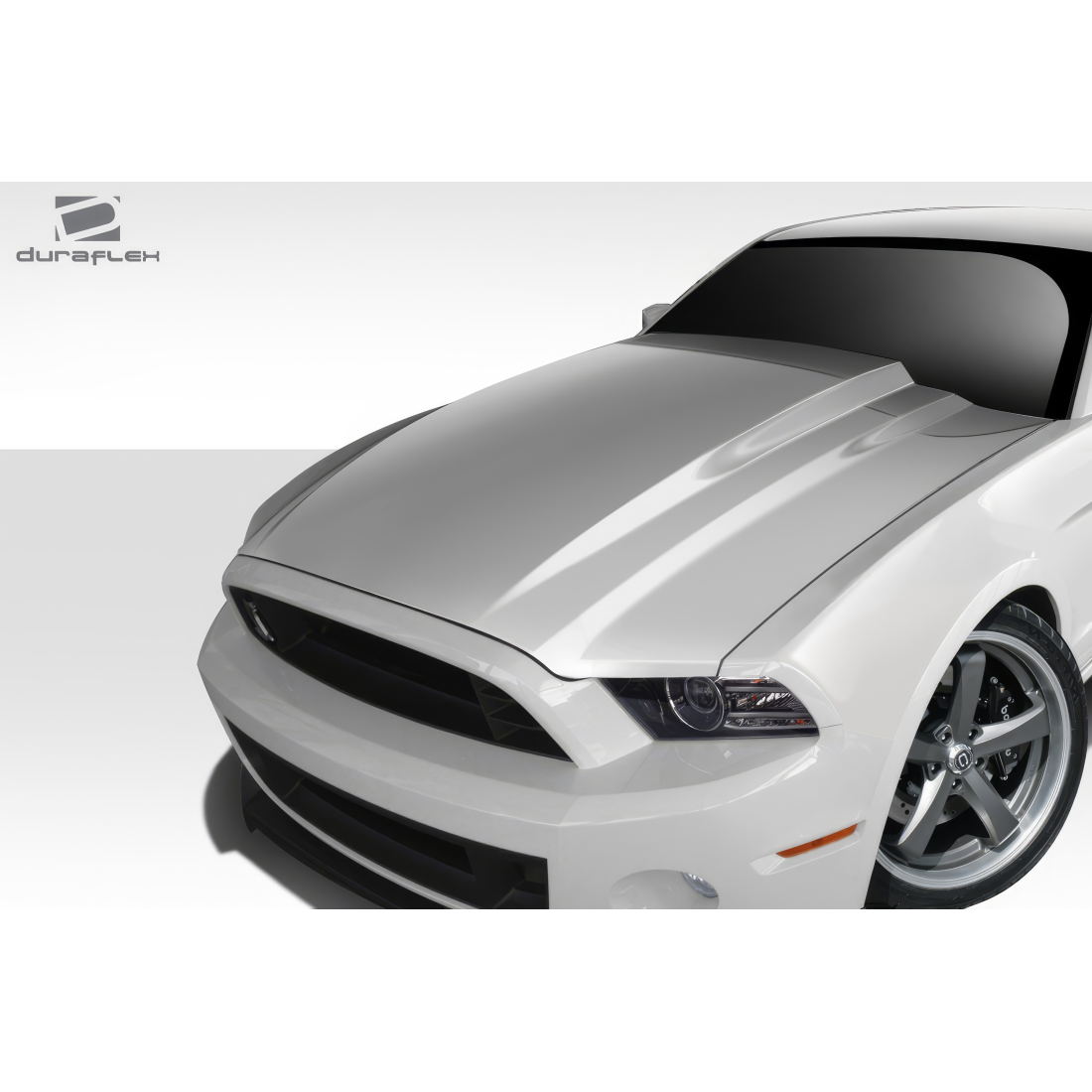All kind of Exterior/Hoodsfor  Ford Mustang 2013. 