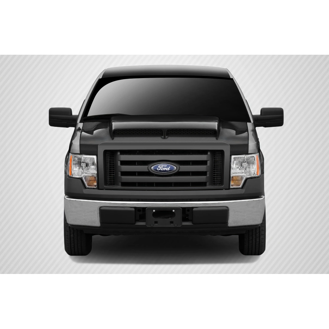 All kind of Exterior/Hoodsfor  Ford F-150 2009. 1