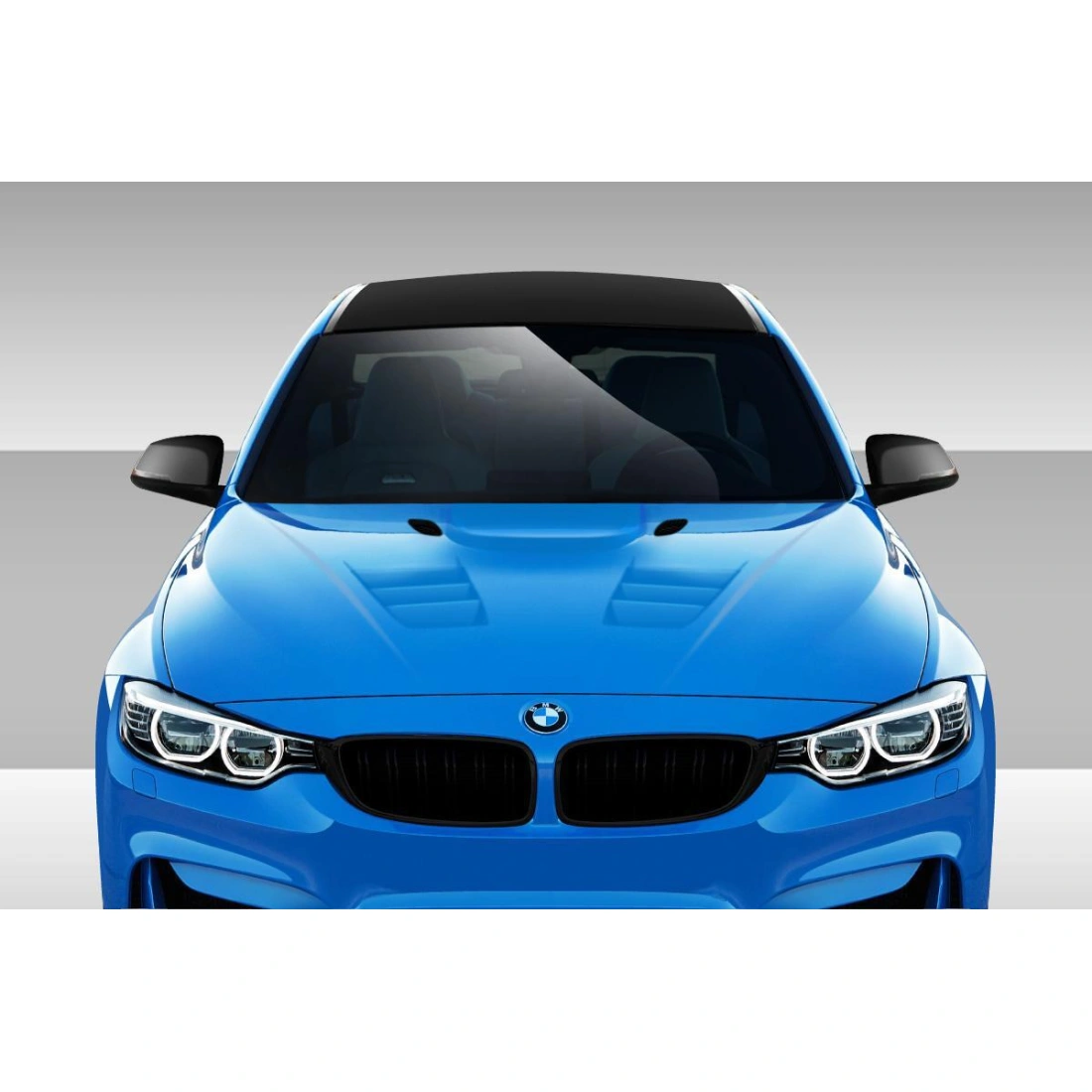 All kind of Exterior/Hoodsfor  BMW 3-Series 2012. 3