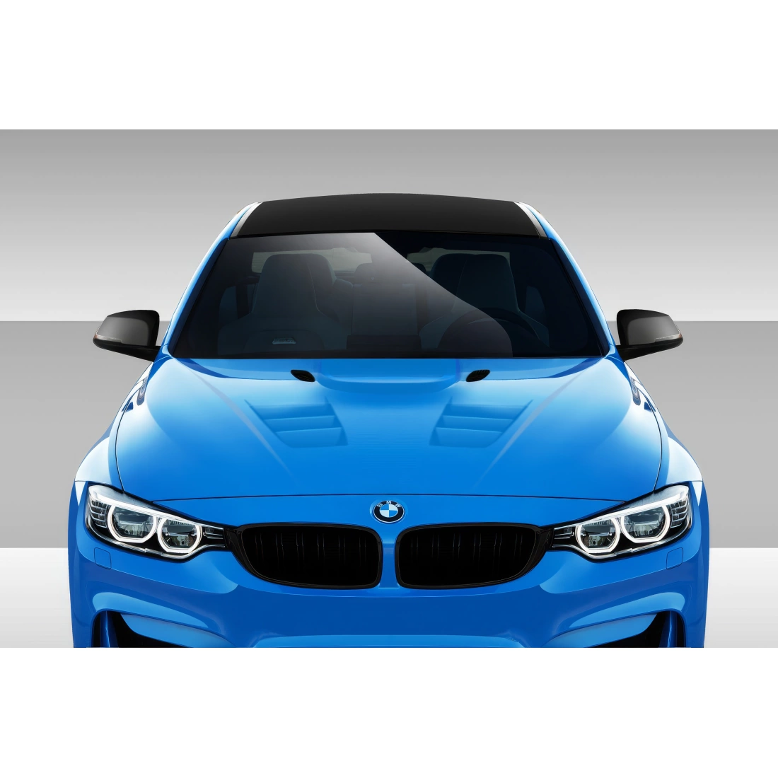 All kind of Exterior/Hoodsfor BMW 3-Series 2012. 6
