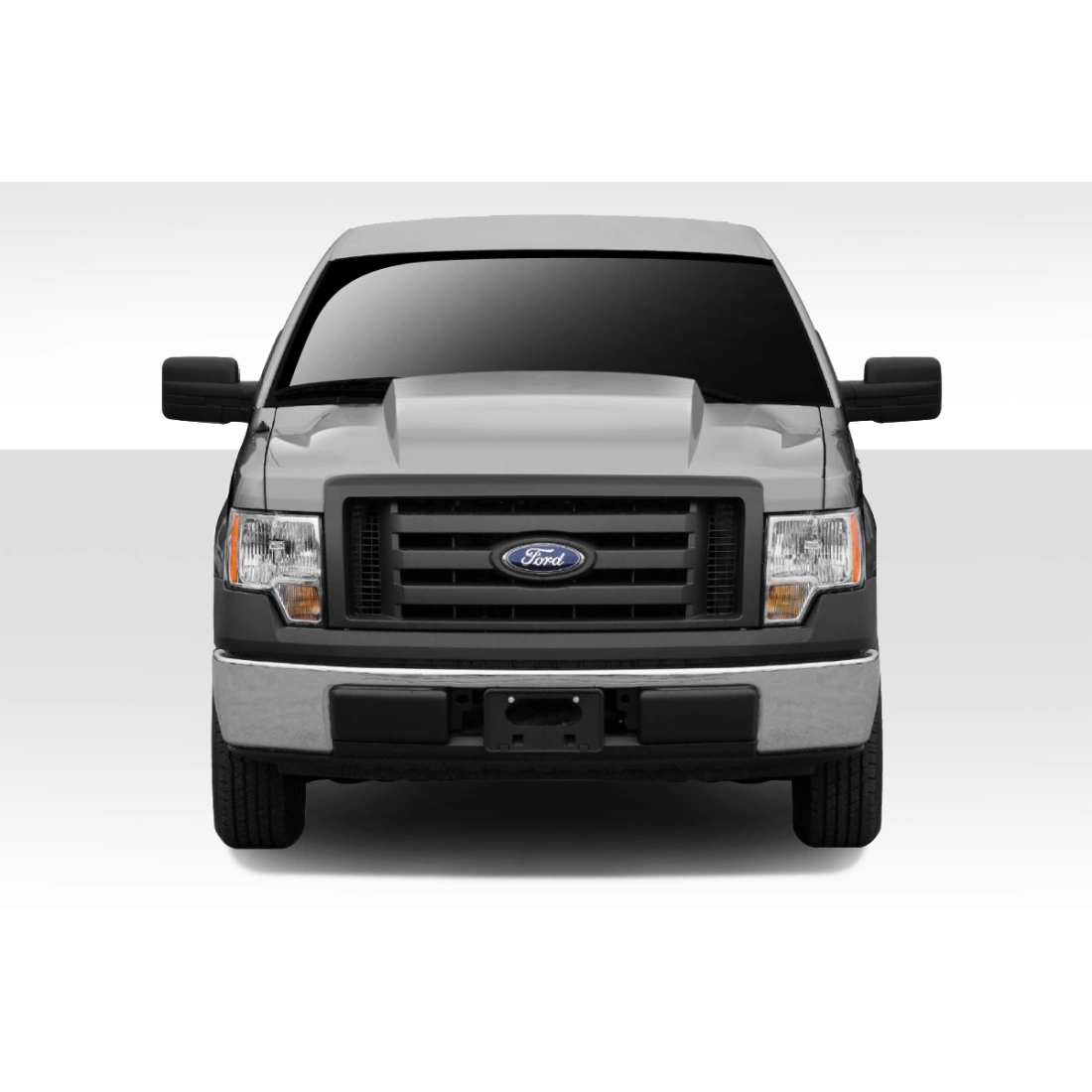 All kind of Exterior/Hoodsfor  Ford F-150 2009. 1