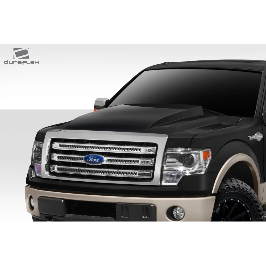 All kind of Exterior/Hoodsfor  Ford F-150 2009. 7
