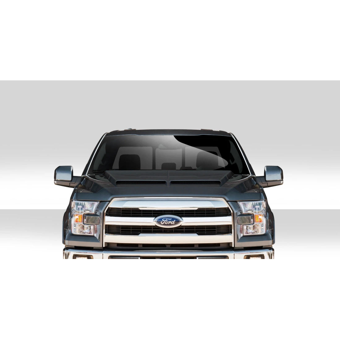 All kind of Exterior/Hoodsfor  Ford F-150 2015. 11