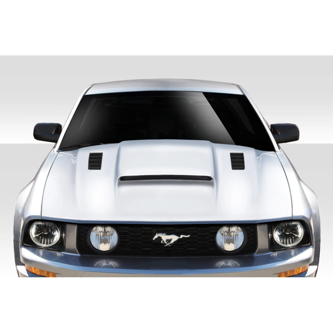 All kind of Exterior/Hoodsfor  Ford Mustang 2005. 1