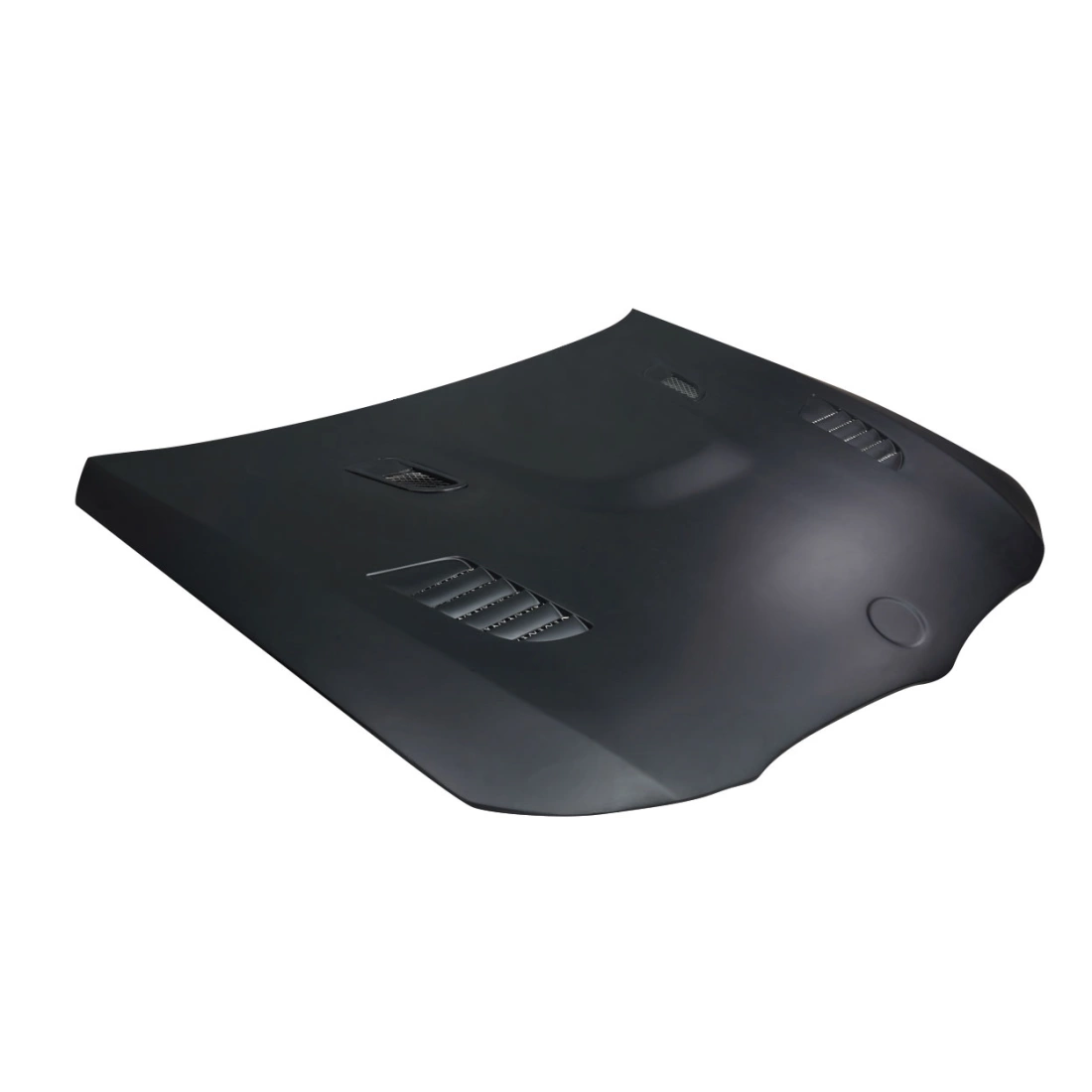 All kind of Exterior/Hoodsfor  BMW 3-Series 2009. 5