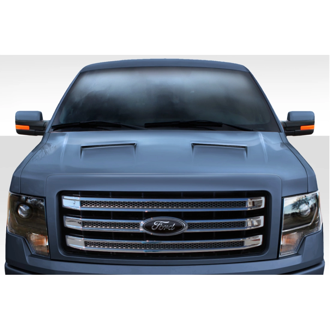 All kind of Exterior/Hoodsfor  Ford F-150 2009. 1