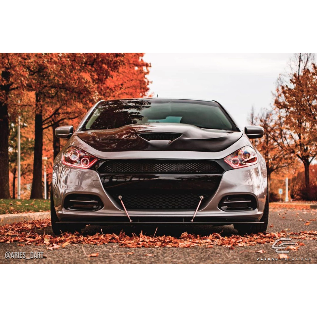 All kind of Exterior/Hoodsfor Dodge Dart 2013. 4
