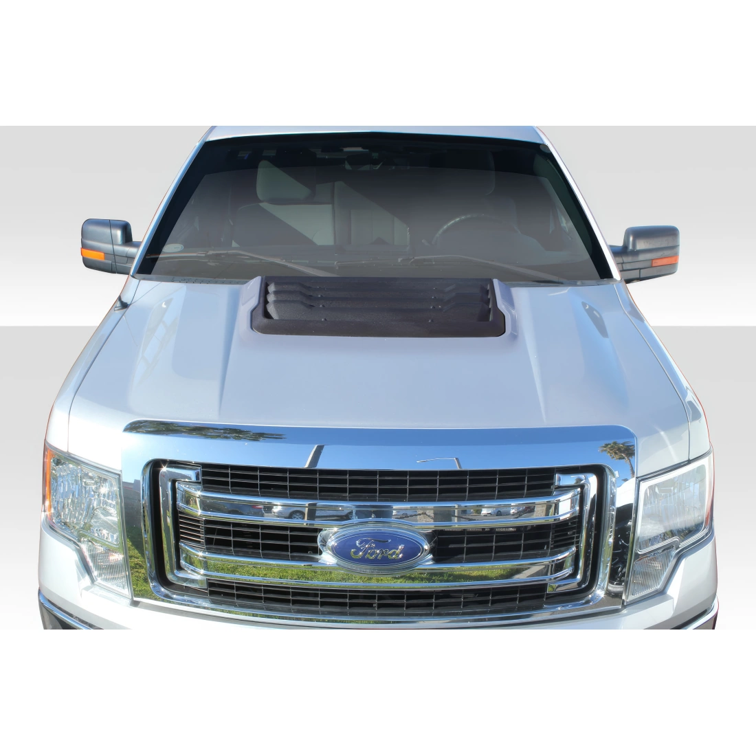 All kind of Exterior/Hoodsfor  Ford F-150 2009. 1