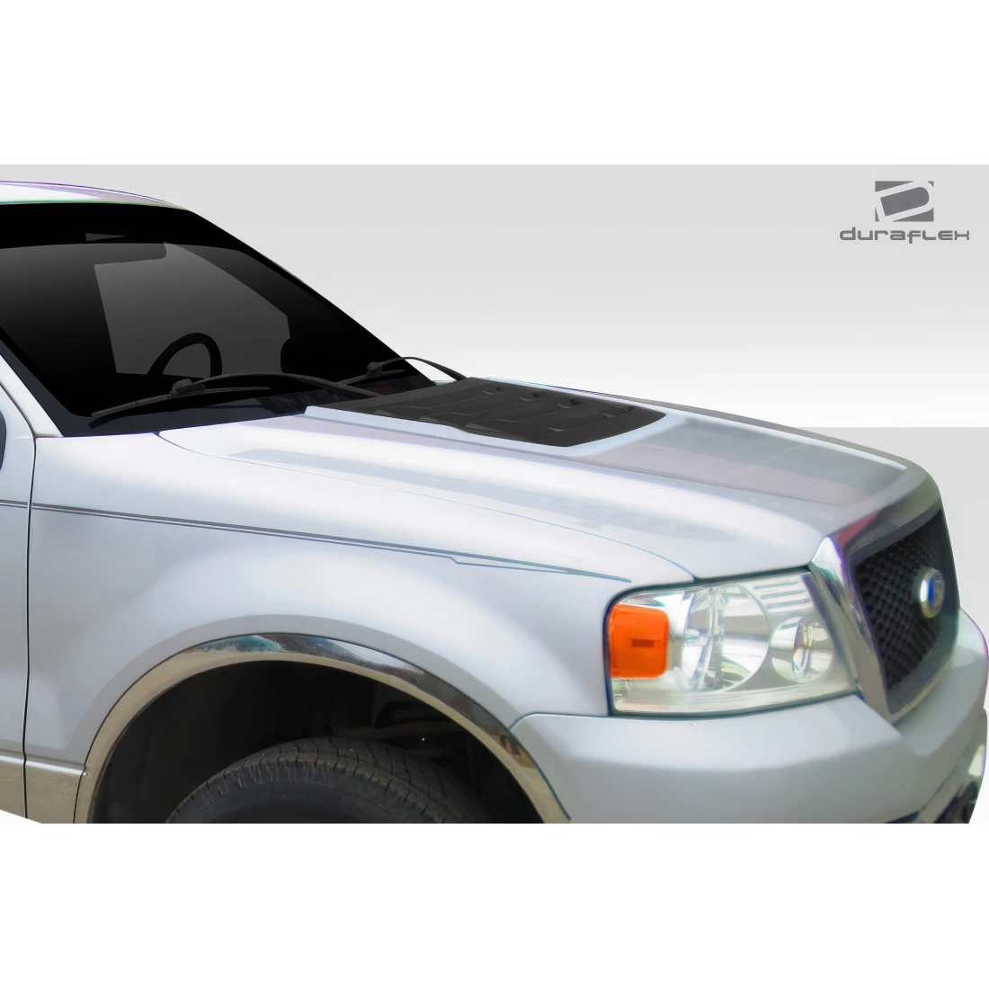 All kind of Exterior/Hoodsfor  Ford F-150 2004. 8