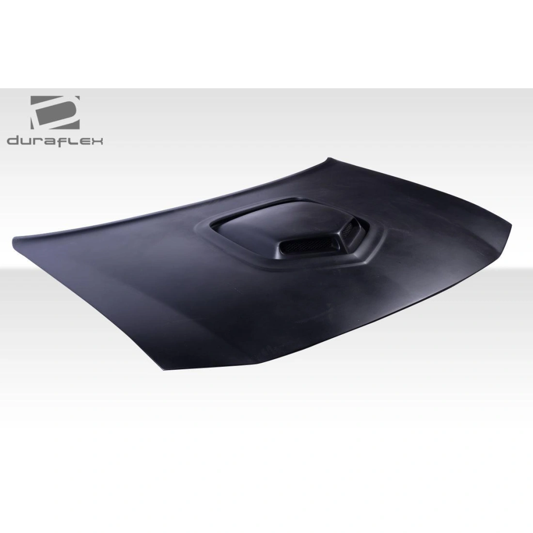 All kind of Exterior/Hoodsfor Dodge Charger 2006. 11