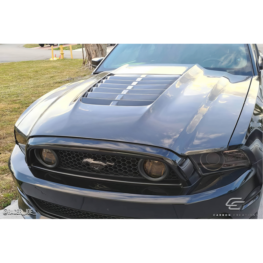 All kind of Exterior/Hoodsfor  Ford Mustang 2013. 