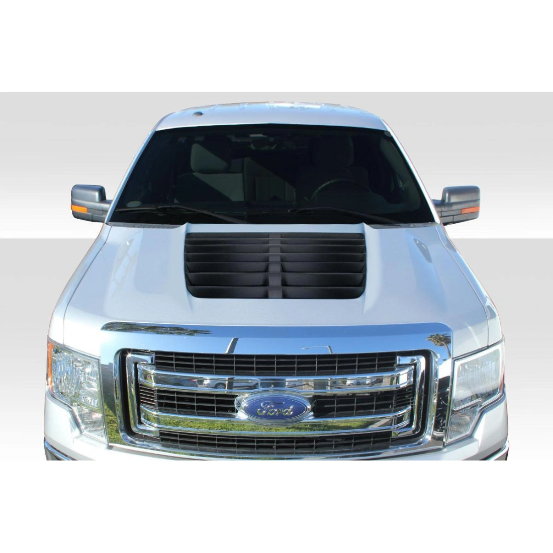 All kind of Exterior/Hoodsfor  Ford F-150 2009. 3
