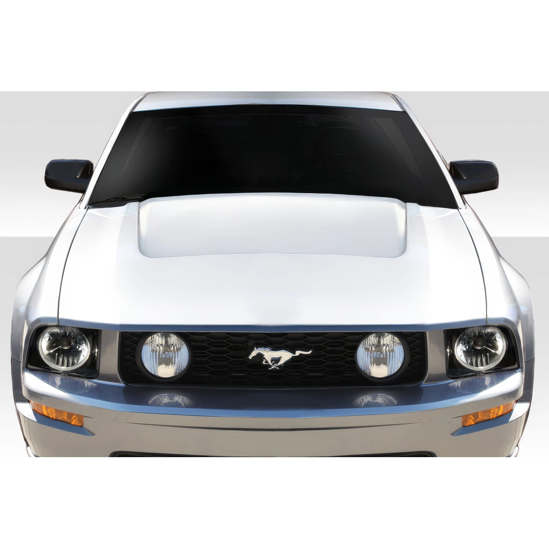 All kind of Exterior/Hoodsfor  Ford Mustang 2005. 1