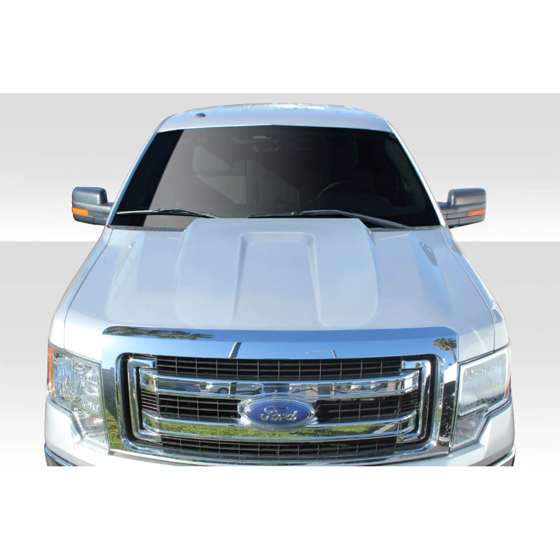 All kind of Exterior/Hoodsfor  Ford F-150 2009. 1
