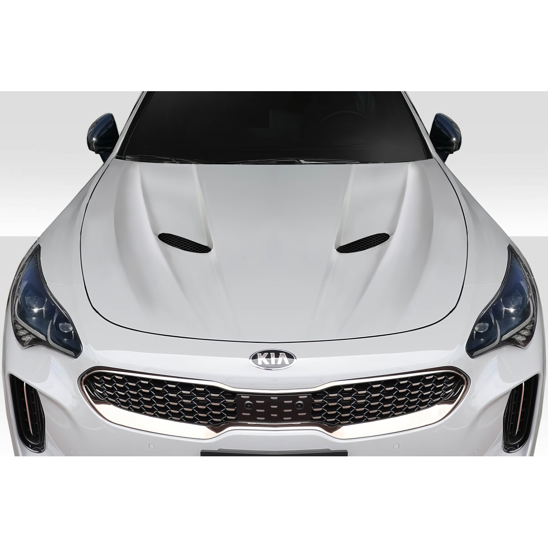 All kind of Exterior/Hoodsfor  KIA Stinger 2018. 