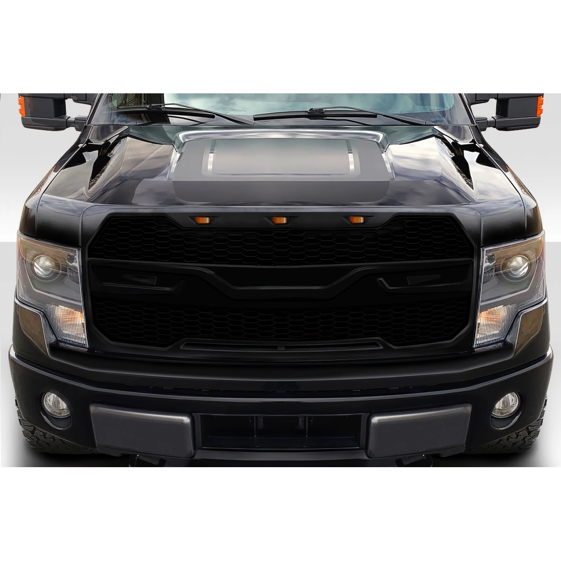 All kind of Exterior/Grillesfor  Ford F-150 2009. 1