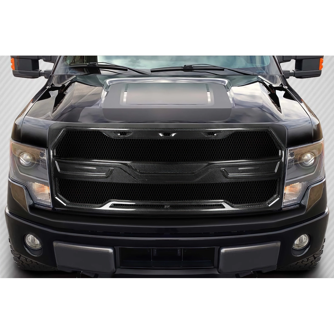 All kind of Exterior/Grillesfor  Ford F-150 2009. 1