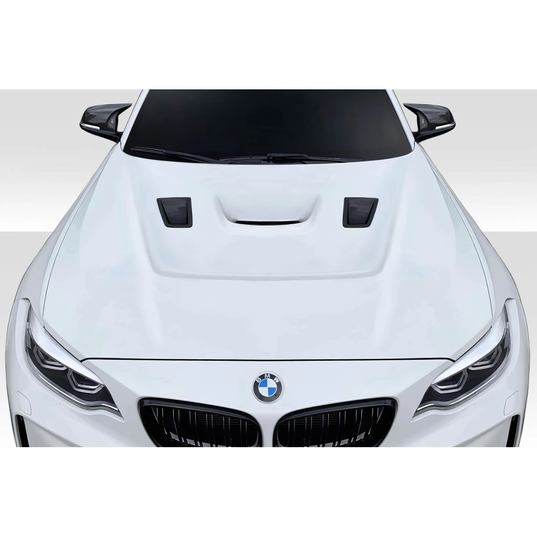 All kind of Exterior/Hoodsfor BMW 2-Series 2014. 1