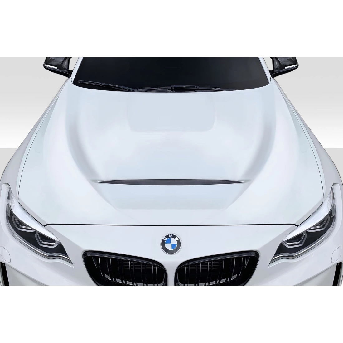 All kind of Exterior/Hoodsfor  BMW 2-Series 2014. 1
