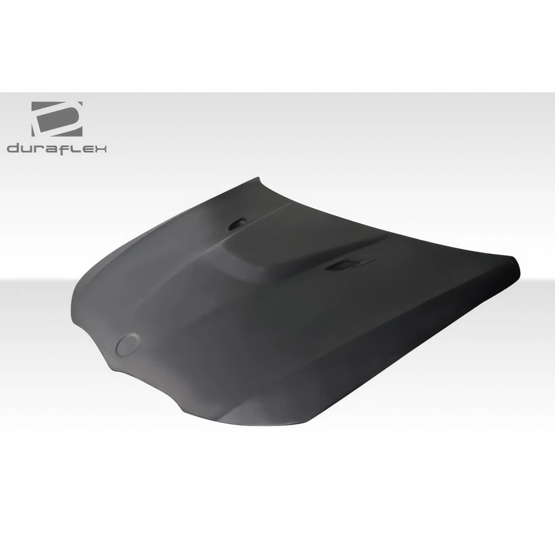 All kind of Exterior/Hoodsfor  BMW 3-Series 2009. 6