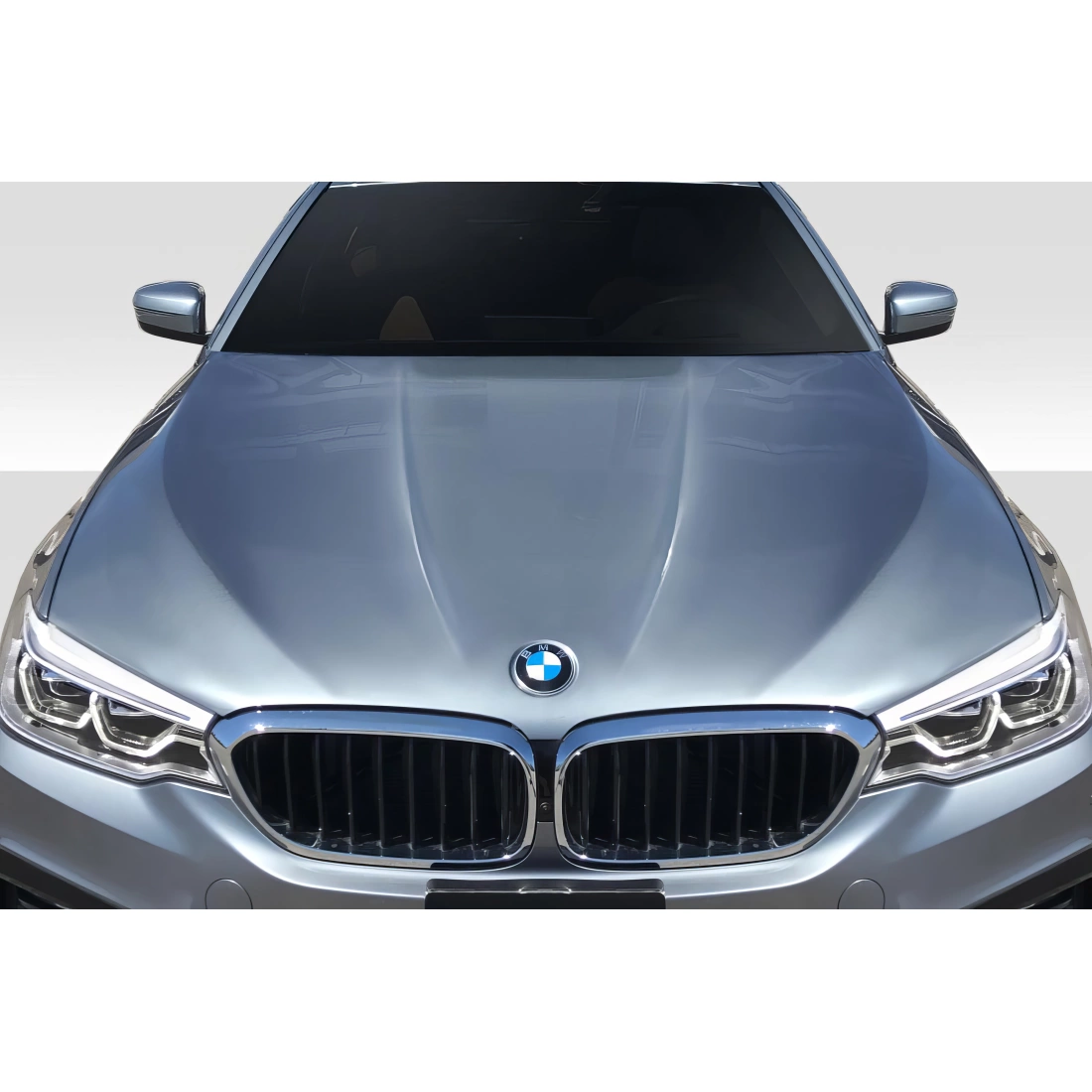 All kind of Exterior/Hoodsfor  BMW 5-Series 2017. 1