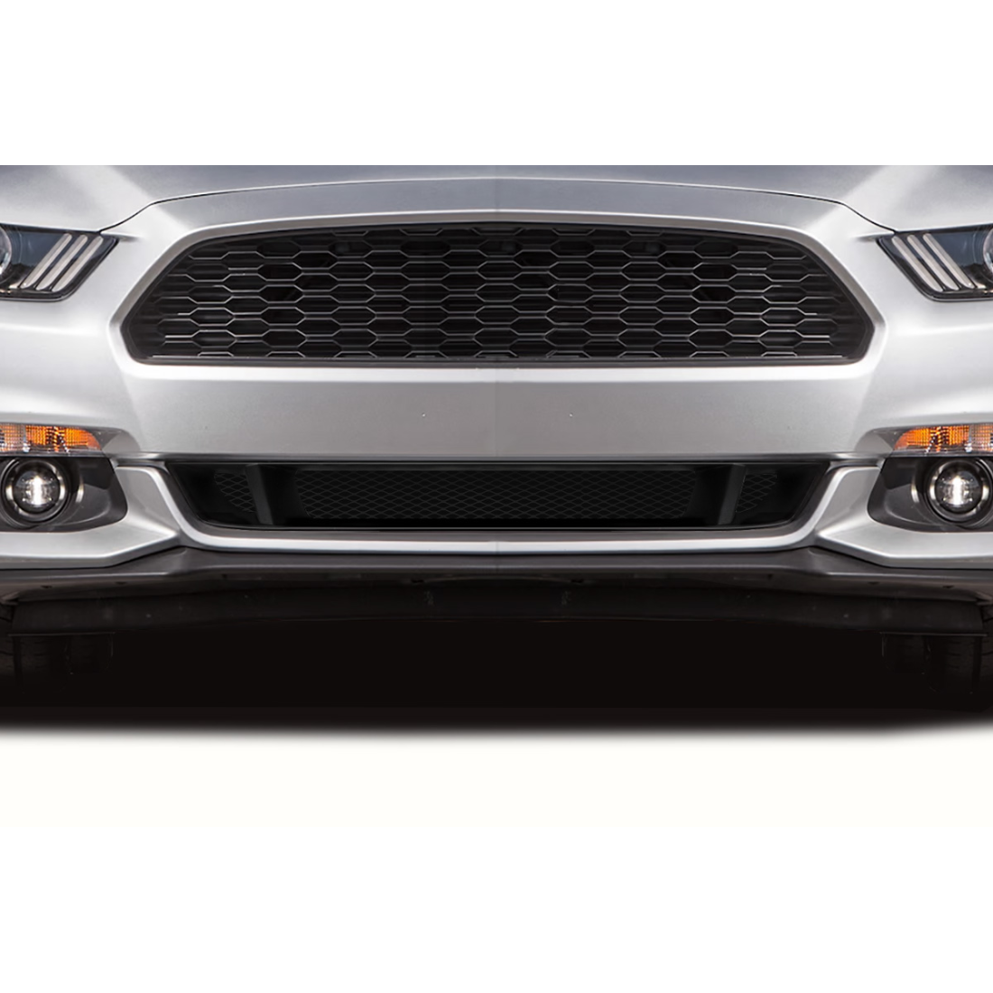 All kind of Exterior/Grillesfor  Ford Mustang 2015. 