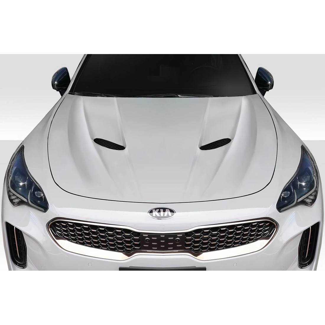 All kind of Exterior/Hoodsfor KIA Stinger 2018. 1