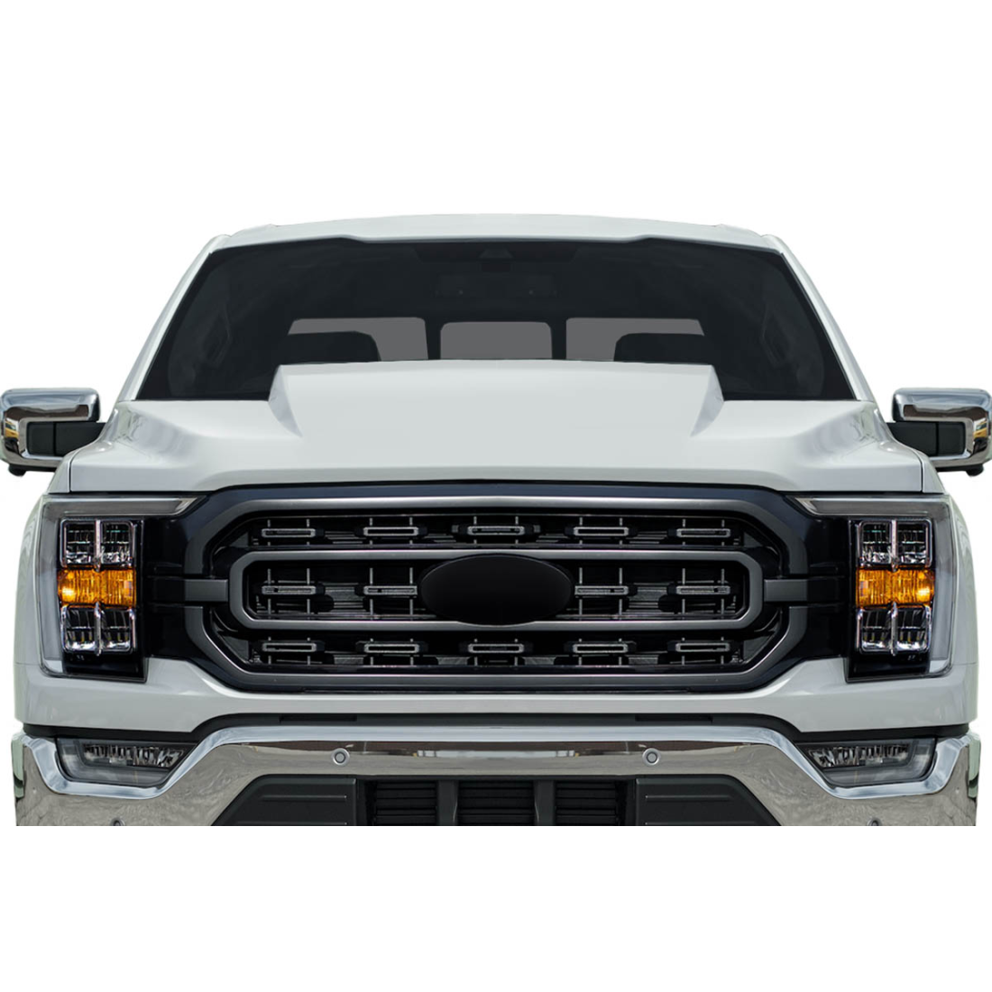 All kind of Exterior/Hoodsfor  Ford F-150 2021. 