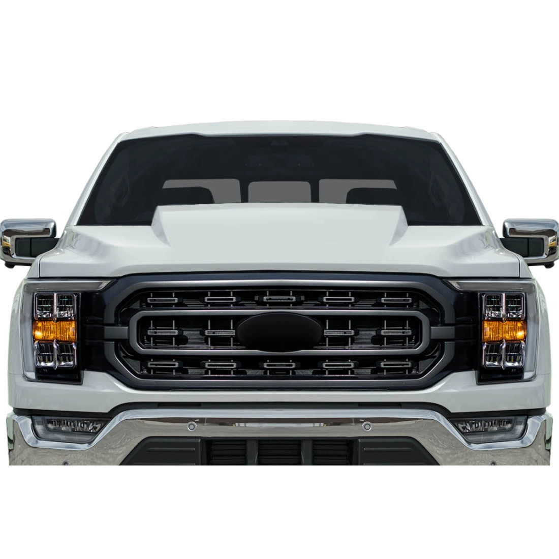 All kind of Exterior/Hoodsfor  Ford F-150 2021. 1
