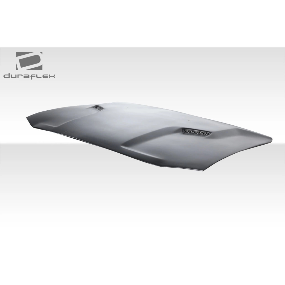 All kind of Exterior/Hoodsfor Dodge Charger 2006. 12